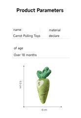 Montessori Carrot Harvest Game – Wooden Pull & Match Toy for Toddlers | Fine Motor Skills & Color Learning