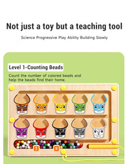 Magnetic Bead Maze Board – 2-in-1 Drawing & Educational Toy for Kids | Montessori Early Learning & Hand Coordination