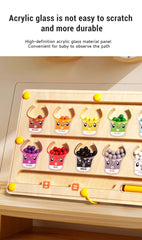 Magnetic Bead Maze Board – 2-in-1 Drawing & Educational Toy for Kids | Montessori Early Learning & Hand Coordination
