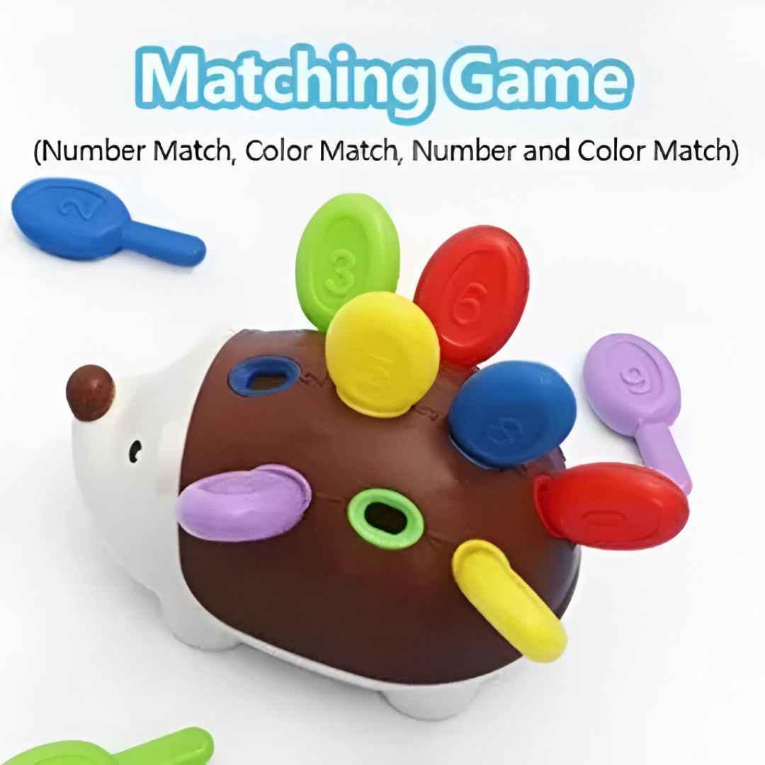 Montessori Sensory Hedgehog Toy – Fine Motor Learning Toy for Toddlers Ages 1–4 | Educational Travel Toy - Purshay